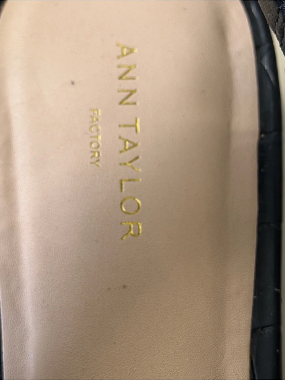 Ann Taylor sleek pointed